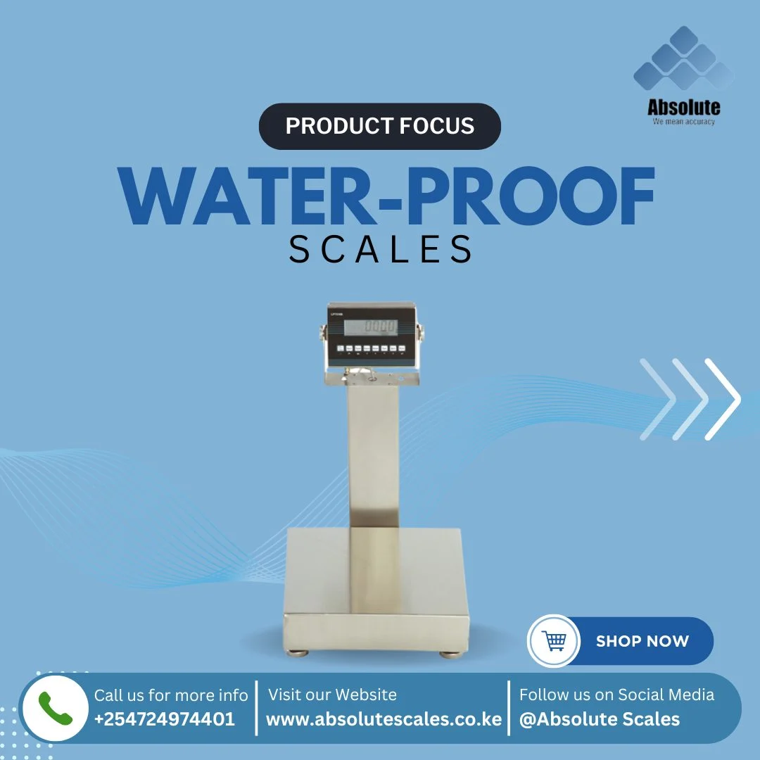 absolute scale (101)