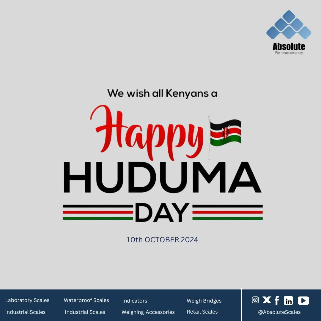 absolute scale (107)