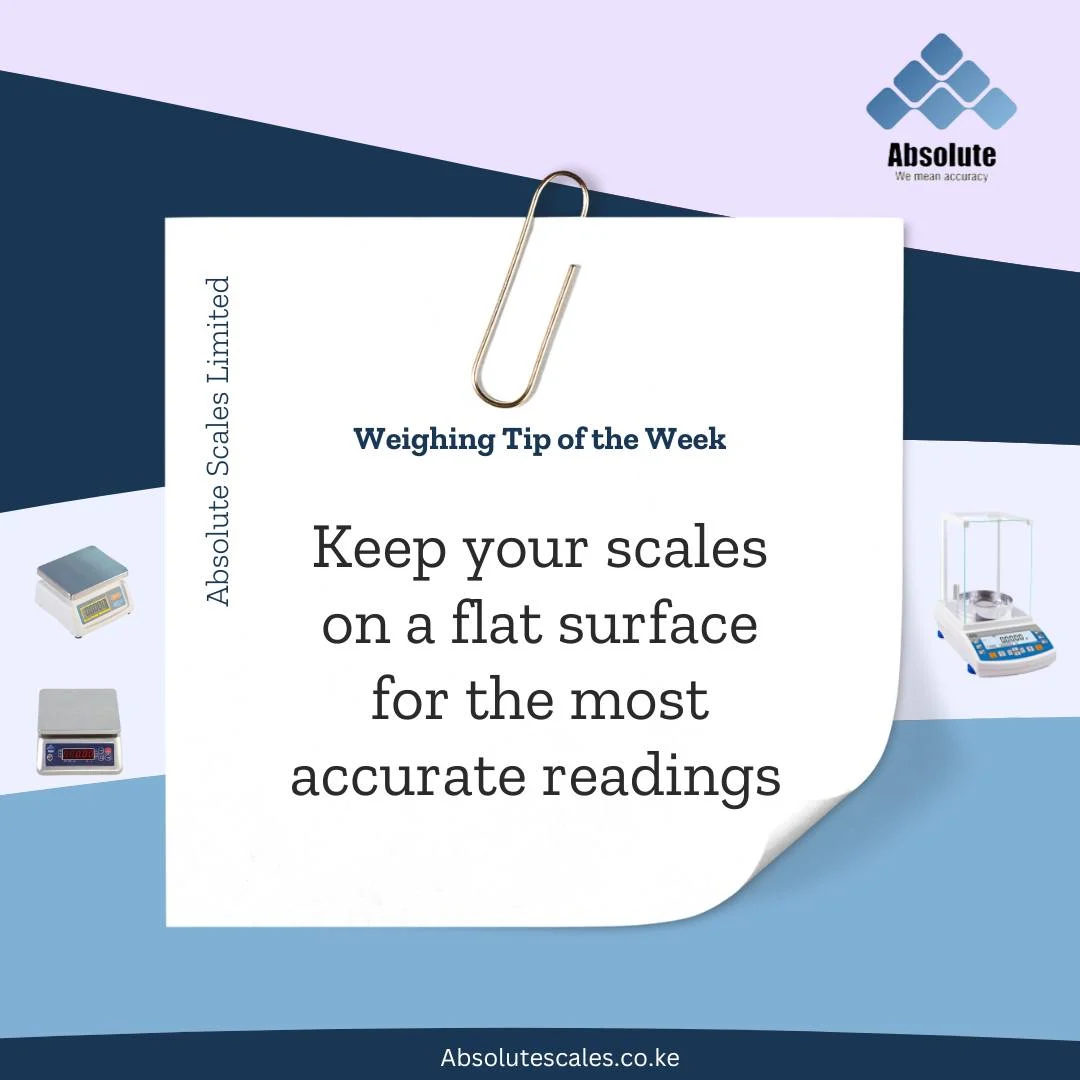 absolute scale (131)