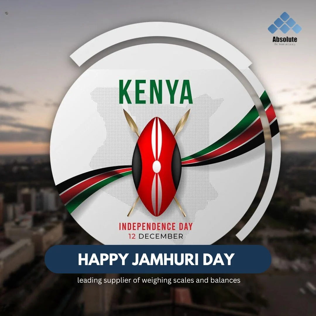 absolute scale (132)