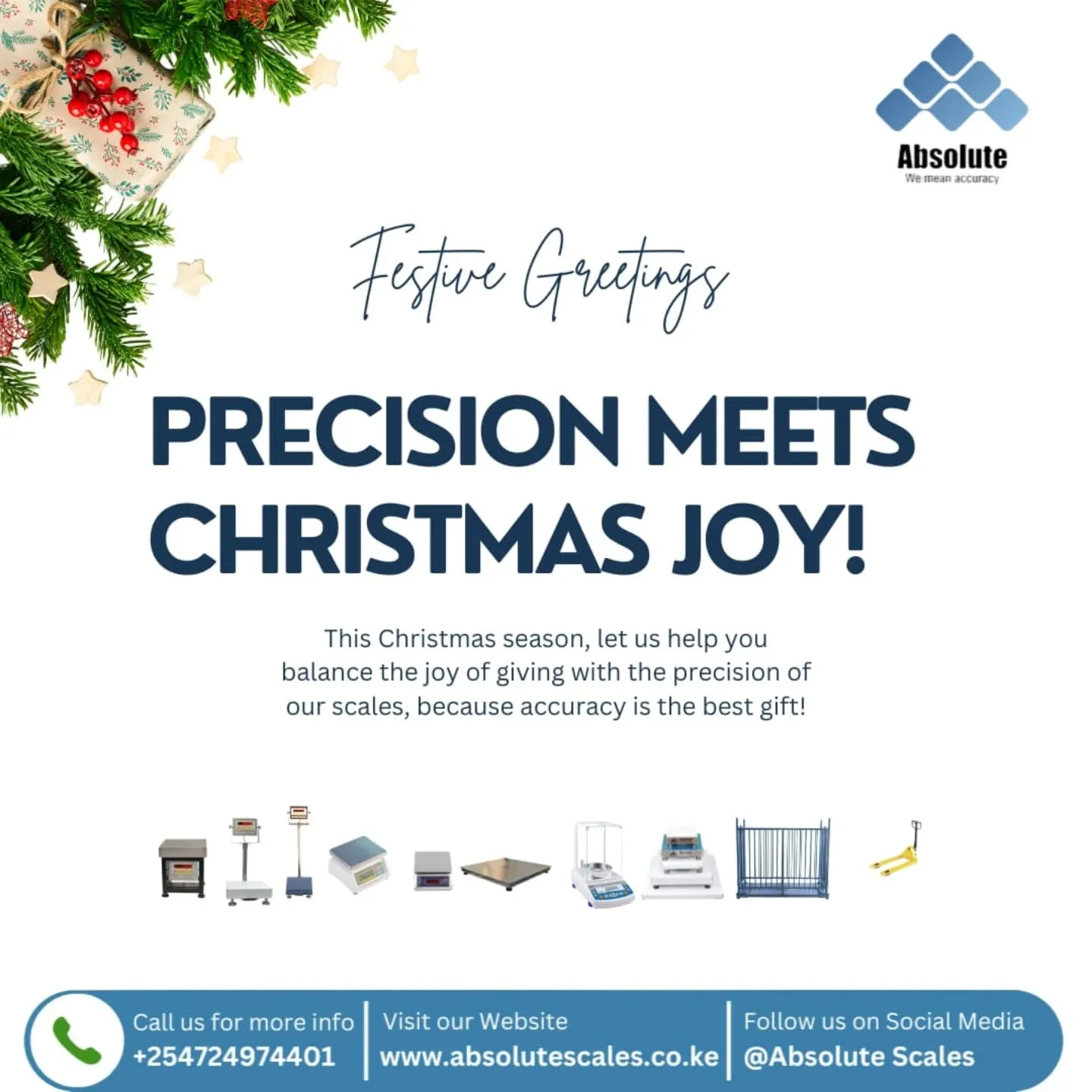 absolute scale (134)